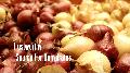 Manufactures & Exporters of Dehydrated Vegetables
