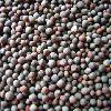 Black-Mustard-Seeds