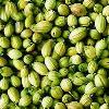  Green - Coriander -Whole