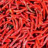  Red -Chilly