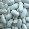 WHITE KIDNEY BEAN ( BASHAKE ) Long shape