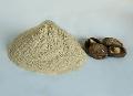  shiitake   extract , Lentinus edodes powder