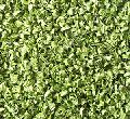 Green onion/Spring onion