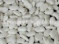  White   Kidney   Bean s  Flat   Shape 