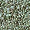 Organic hulled buckwheat