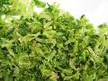 DEHYDRATED  CABBAGE   FLAKES 