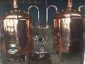 beer equipment for micro brewing (LY-1.0)