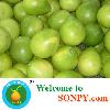 honey pomelo