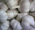 garlic,Chinese garlic,fresh garlic,garlic products