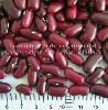  Red  kidney bean