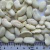 White Kidney Bean Flat shape