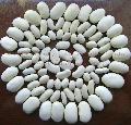 White Kidney Bean