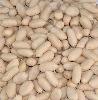 Blanched peanuts