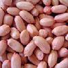 peanut kernels long type