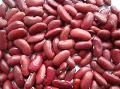  Red   kidney   bean s  british   type  shanxi origin