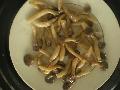 salted scimegii