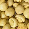 salted agaricus bisporus