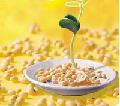  Soy   lecithin 