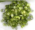 IQF scallion pieces
