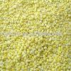 IQF sweet corn