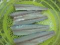 Frozen   Spanish   mackerel   Fillet s