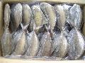 Frozen  pomfret  ( black )