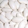 White speckled kidney bean medium type