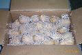 Netherland  Potato  for  Export 