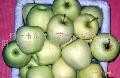  Golden  Apple
