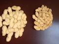 chinese peanut in shell