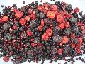 Mixed berries
