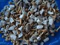  IQF   Mixed   Mushroom 