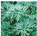 Artemisinin