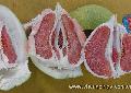 Guanxi Red Flesh  Crystal   Honey  Pomelo