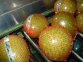 Honey Pomelo