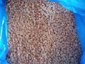  IQF   CARROT  DICED, FROZEN VEGETABLES,FROZEN FOOD