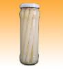 Canned white asparagus 370/17