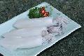  WHOLE  ROUND  SQUID   CLEANED 