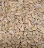sunflower kernel