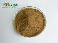 propolis powder
