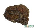 raw propolis,crude propolis