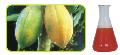  papaya   puree 