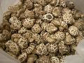 Dried Flower Mushroom
