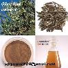 Olive Leaf Extract