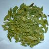  senna   extract 