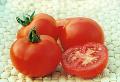 Lycopene