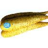  wild   yam   extract ( Diosgenin e)