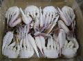 THREE SPOT CRAB