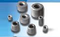 Tungste carbide dies,carbide forming dies,Hot/cold heading dies