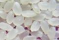 white rice